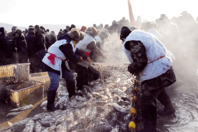 黑龙江兴凯湖大白鱼,兴凯湖特产大白鱼