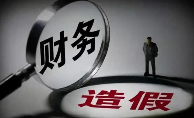 我国“复合肥巨头”金正大：4年造假231亿，8名高管被罚755万