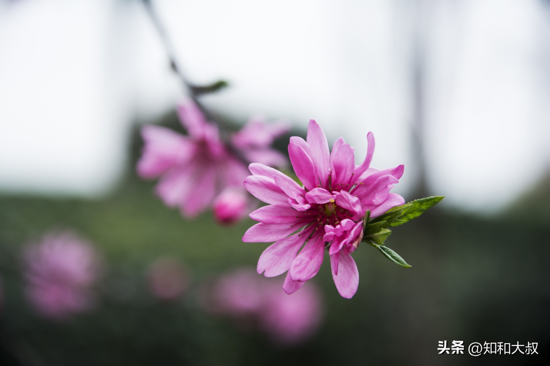 一个女人活得最好的三种状态,一个优秀女人越活越好的7个表现