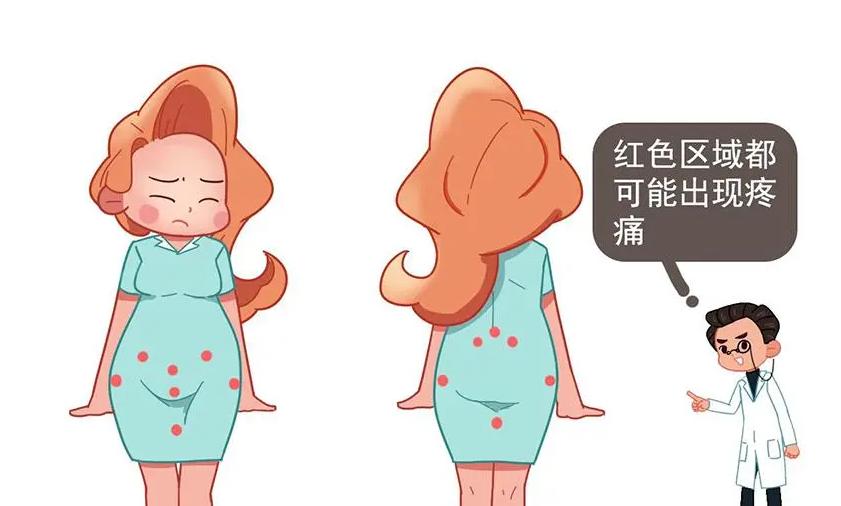 如果不避孕一辈子能生几胎,如果不备孕女子能生多少孩子