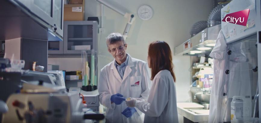 香港留学大学排名,香港城市大学在香港排名