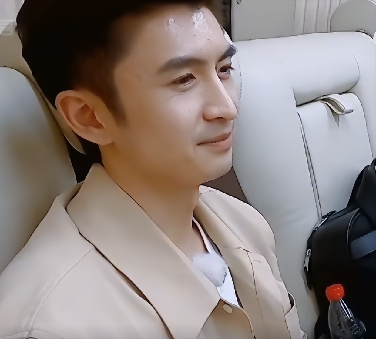 郑钧评价苗苗扮猪吃老虎,苗苗评价郑钧刘芸