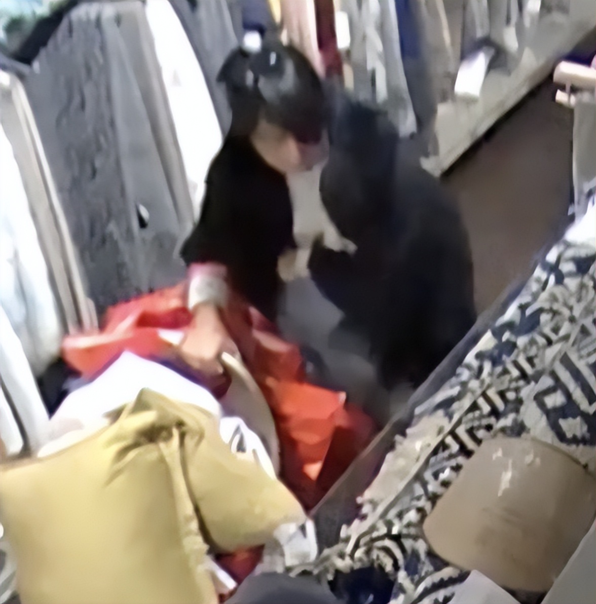 英国女子偷衣服,英国女性偷东西