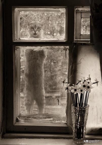 花楼女子媚态撩人，丰乳肥臀，30张真实影像惊艳时光