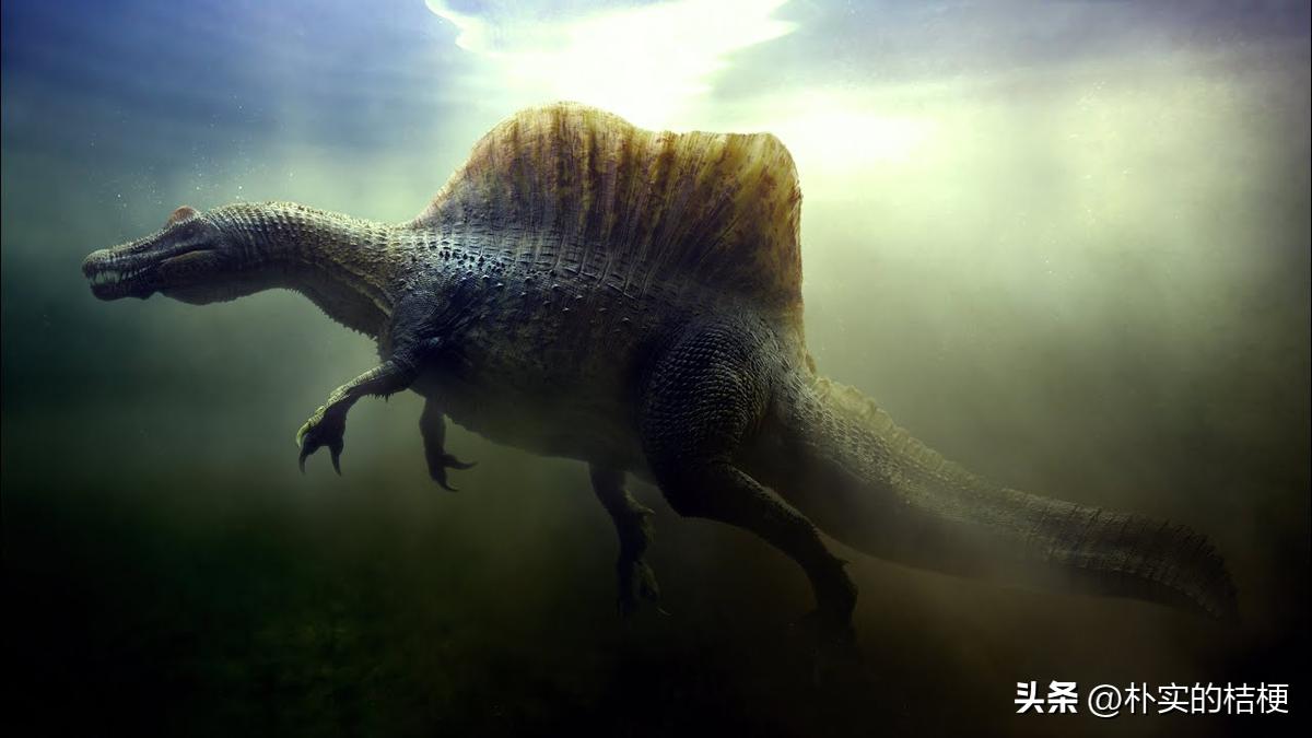 恐龙化石复原的错误,恐龙的错误复原