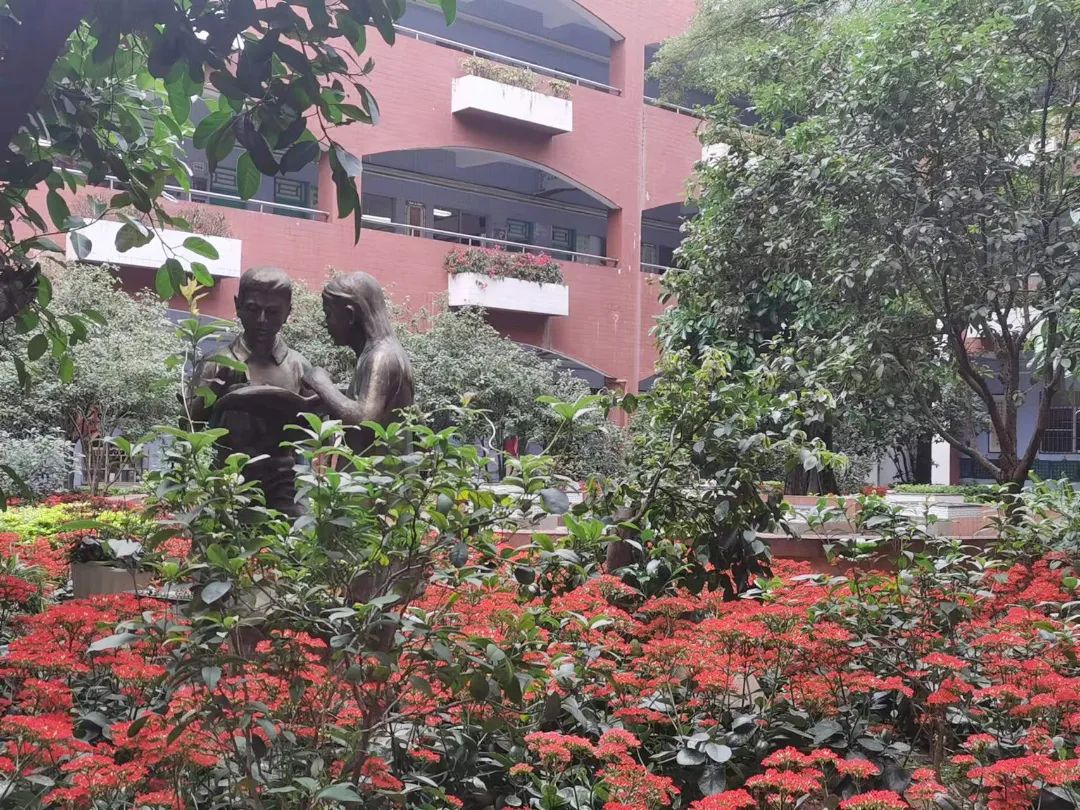 石碣四海学校是公办还是民办,东莞石碣四海学校最新视频