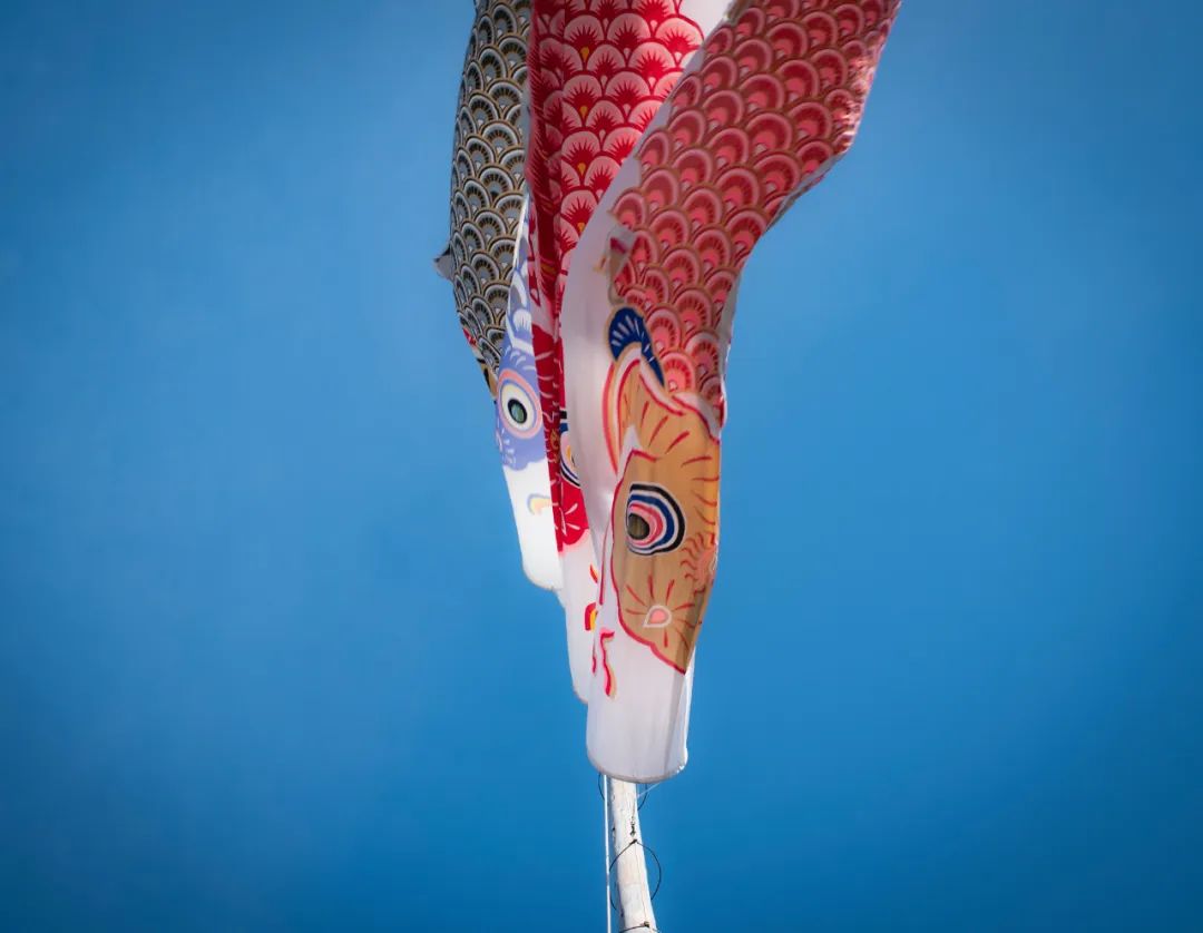 名校志向塾好吗,日本名校志向塾有语言学校吗