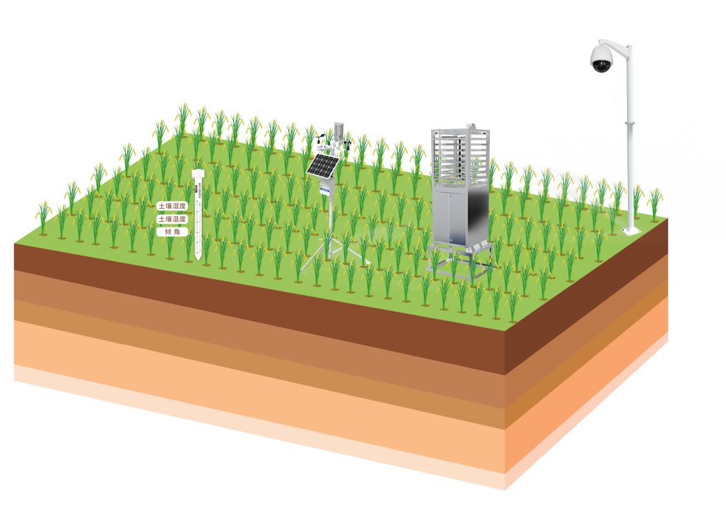 四情监测是什么意思,农业四情监测系统