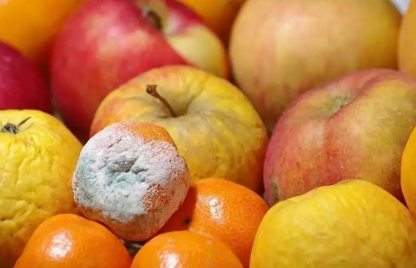 食物霉变处理流程,霉变食物应该怎样处理