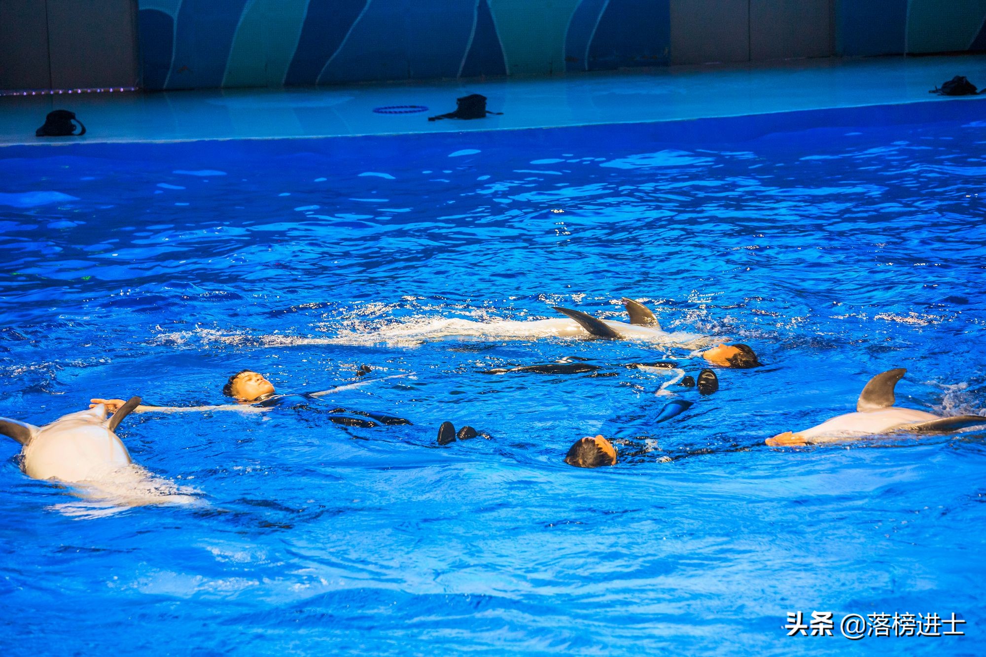 石家庄极地海洋世界从哪个门进,石家庄极地海洋世界内部视频