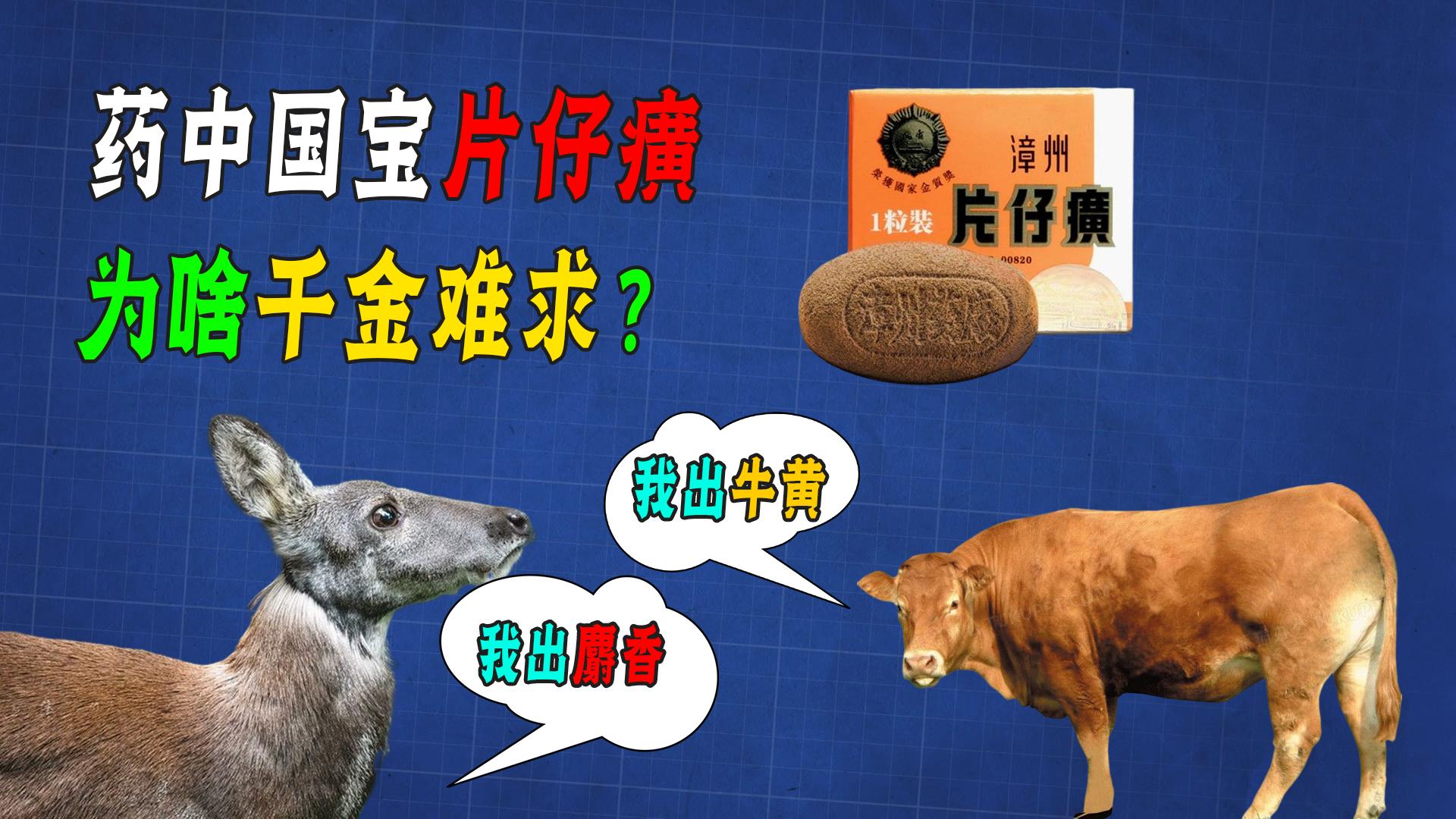 同样一种中药为什么价格相差甚远,很贵的一粒中药