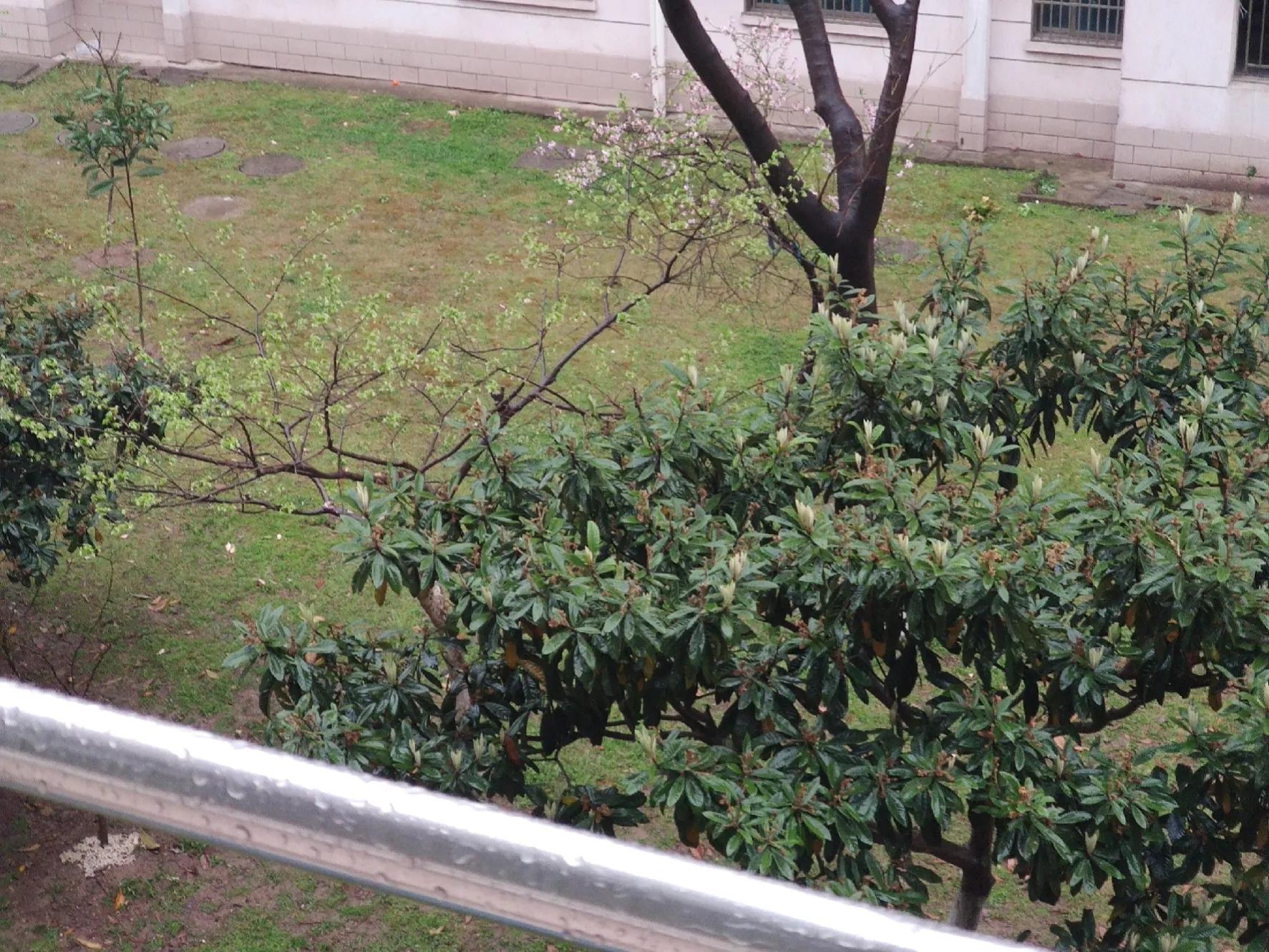 转呼啦圈肉疼怎么办,转完呼啦圈肉疼骨头痛