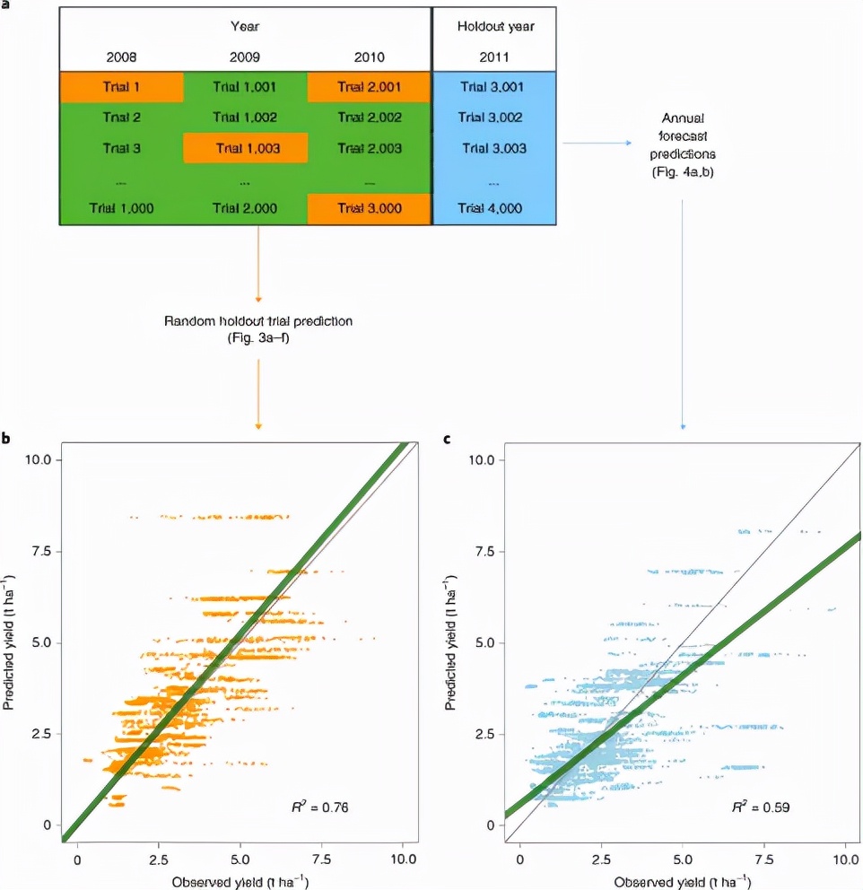 鍩哄洜缁勫伐鍏风,妞嶇墿鍩哄洜缁勫伐鍏风
