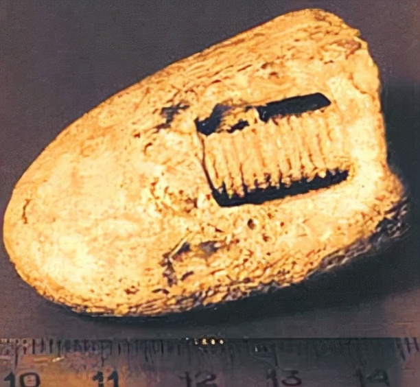 俄罗斯发现一枚3亿年前的螺丝钉,俄罗斯发现十二亿年前的螺丝