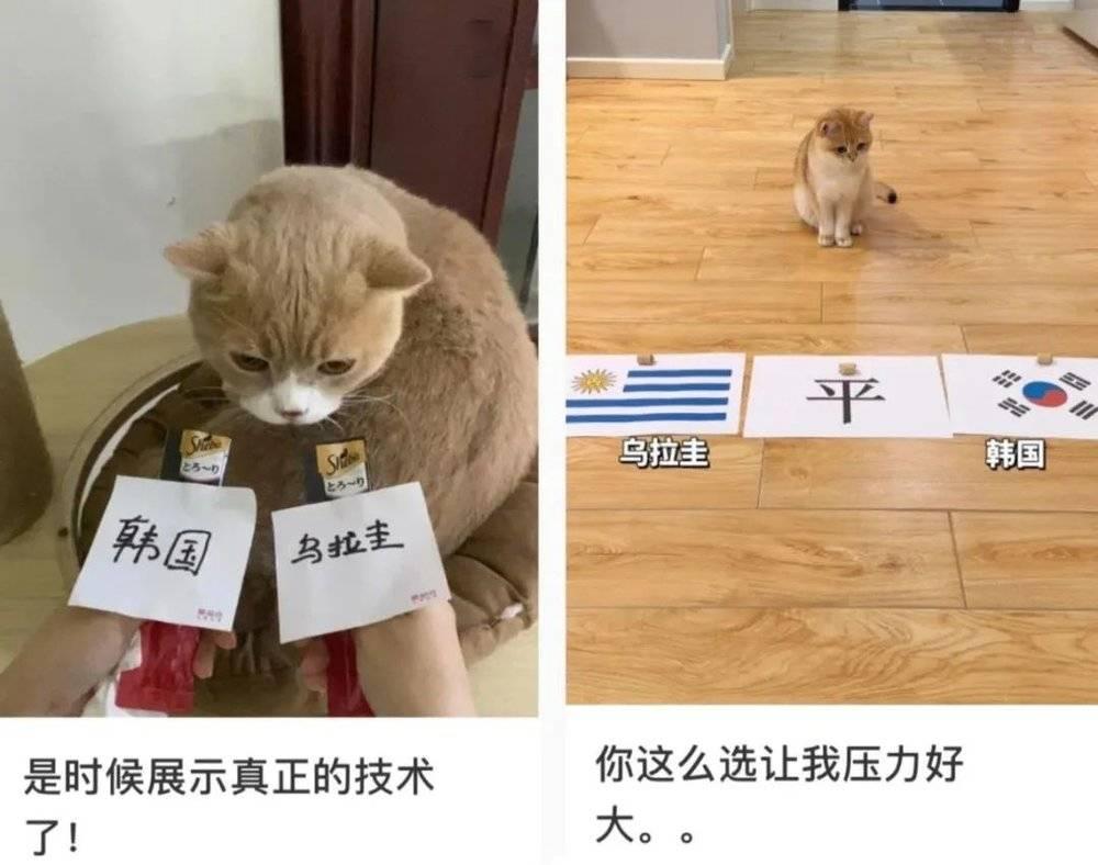 世界杯球赛输赢挣了多少,世界杯赌多大会被抓