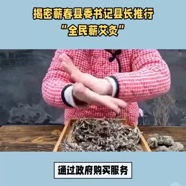 有关蕲春艾灸的视频,湖北省蕲春县艾灸怎么样