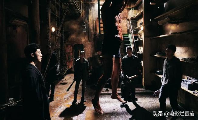 海清2022新剧,海清十部必看电影