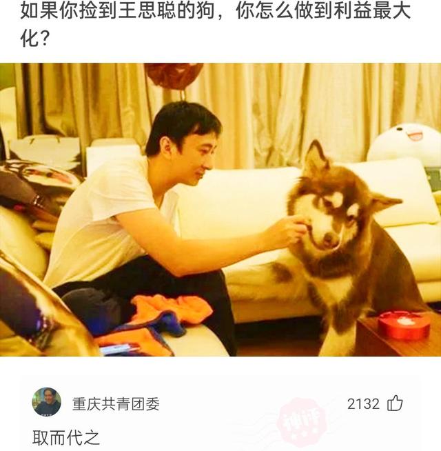 自己在玉米地里突然发现了个洞,在玉米地里迷路了怎么办