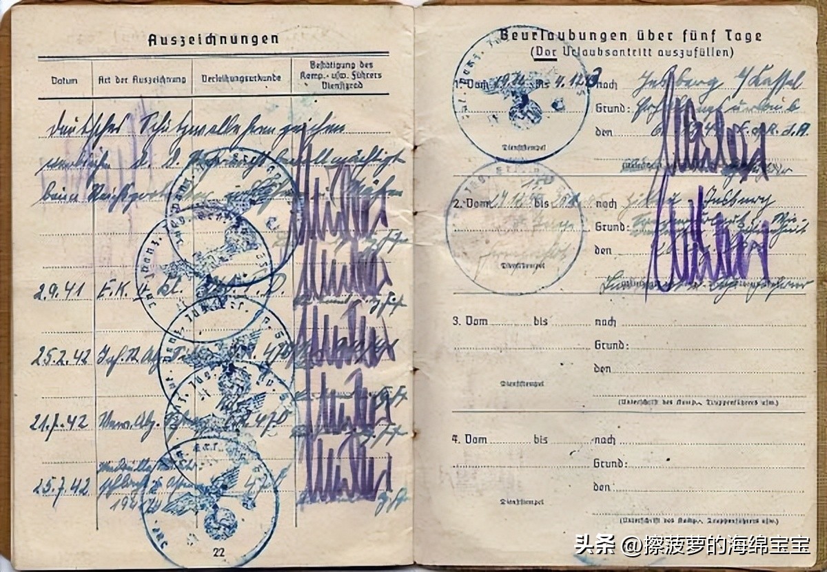 二战时德国军人的肩章,二战德国兵种领章