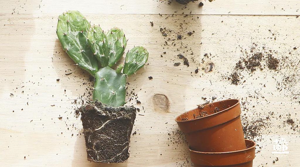 不要辜负一个对你好的人,永远不要辜负一个对你真心的女人