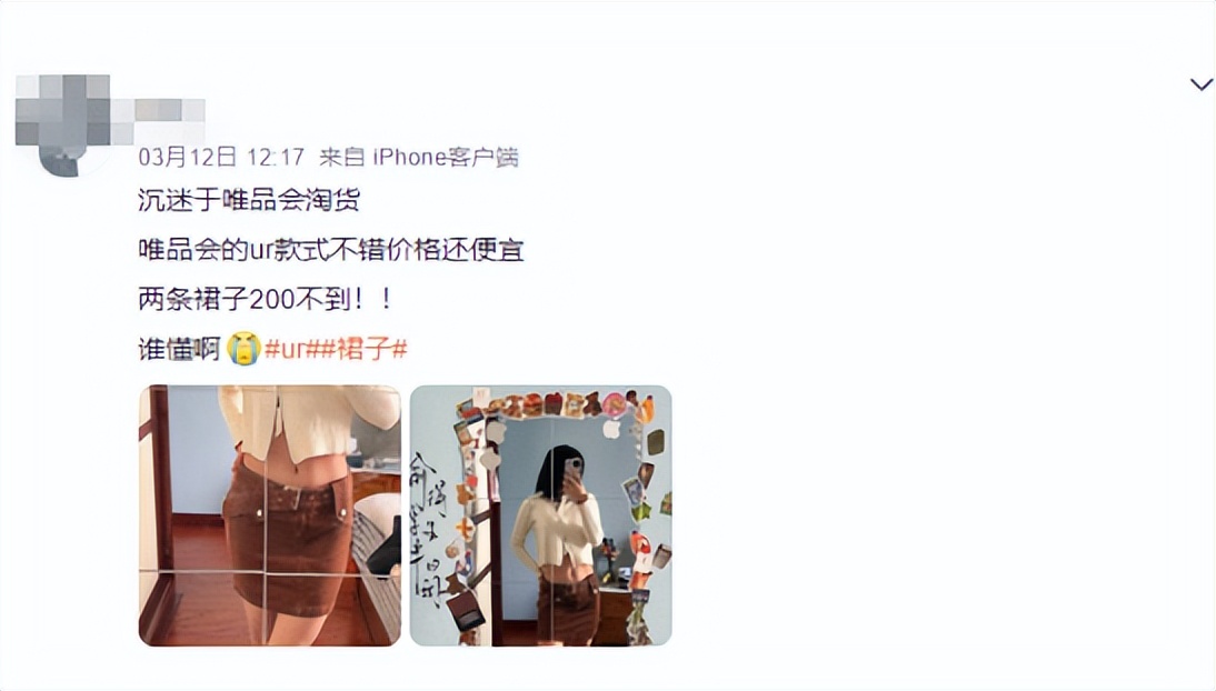 唯品会为什么是垂直电商,唯品会为什么可以做电商