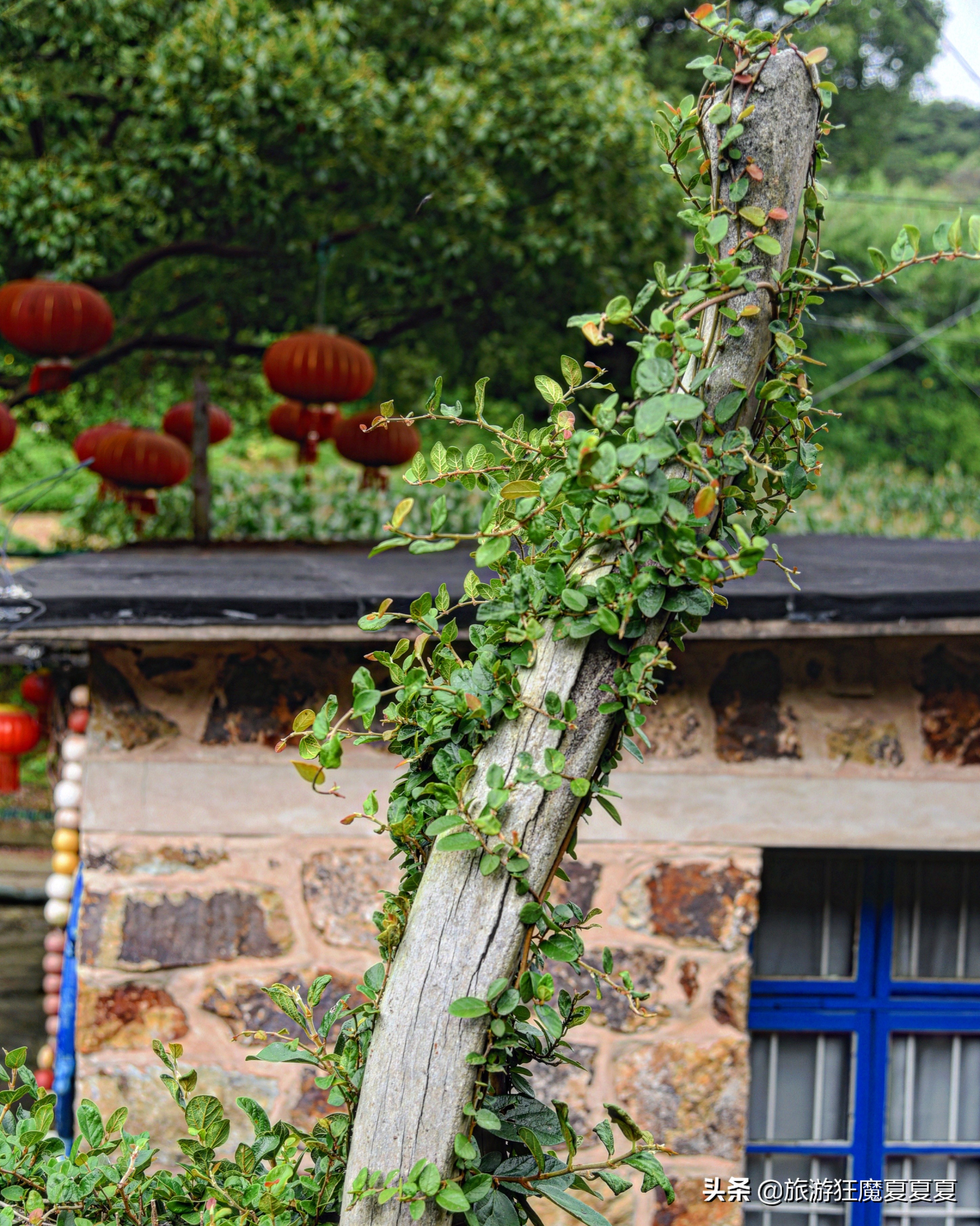 浙江省舟山市岛屿,浙江舟山普陀区小岛