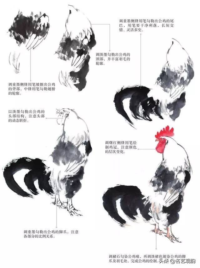 十二生肖鸡画法步骤,鸡的画法简笔画步骤