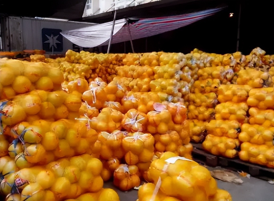 甘肃女子变卖家产花千万开发沙漠,女子砸千万家产完整版