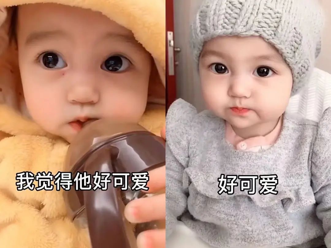 一个月涨粉最多的网红,最近一周涨粉最多的网红