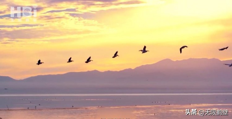 “鹤壁这十年”看鹤山丨鹤鸣九皋山水画卷