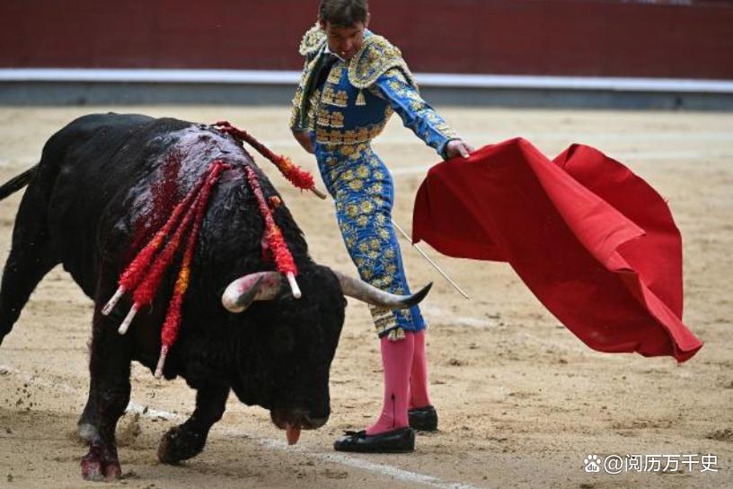 西班牙十大橄榄油品牌,走进西班牙橄榄油的前世今生