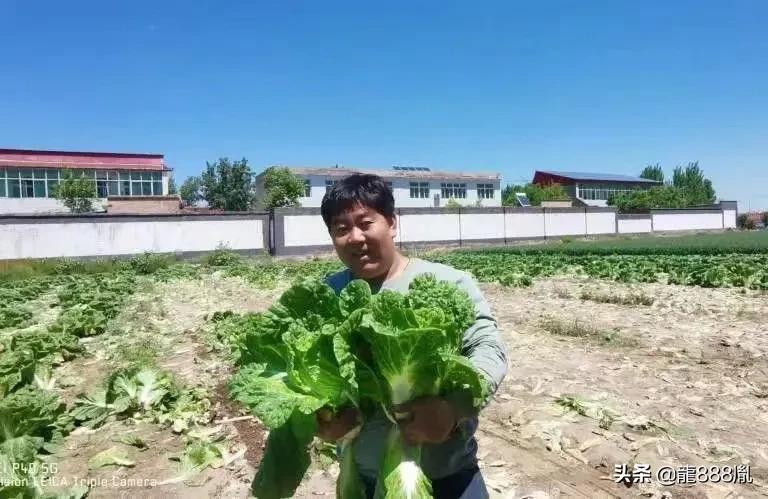 天奕商厦蔬菜,河北天奕商厦集团董事长捐款