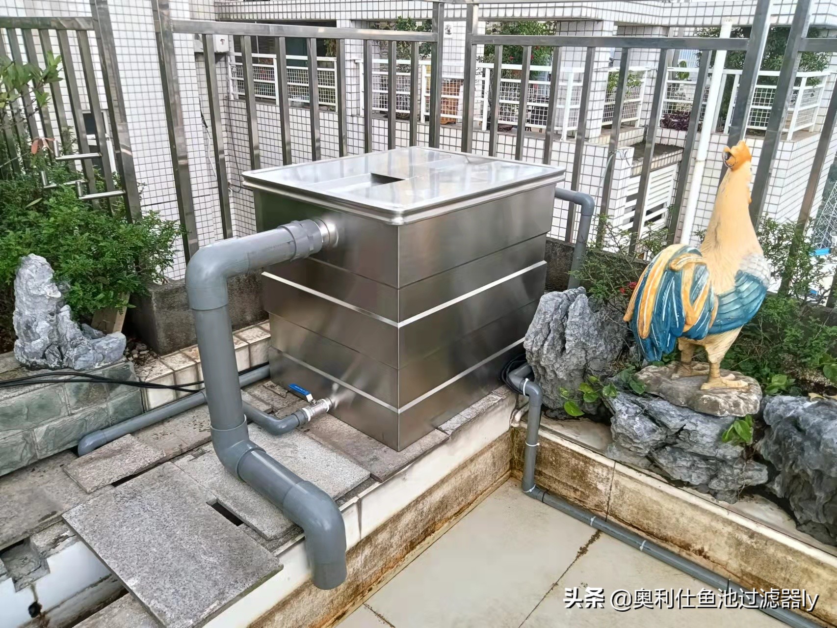 锦鲤鱼池智能水净化系统,南通锦鲤鱼池水净化