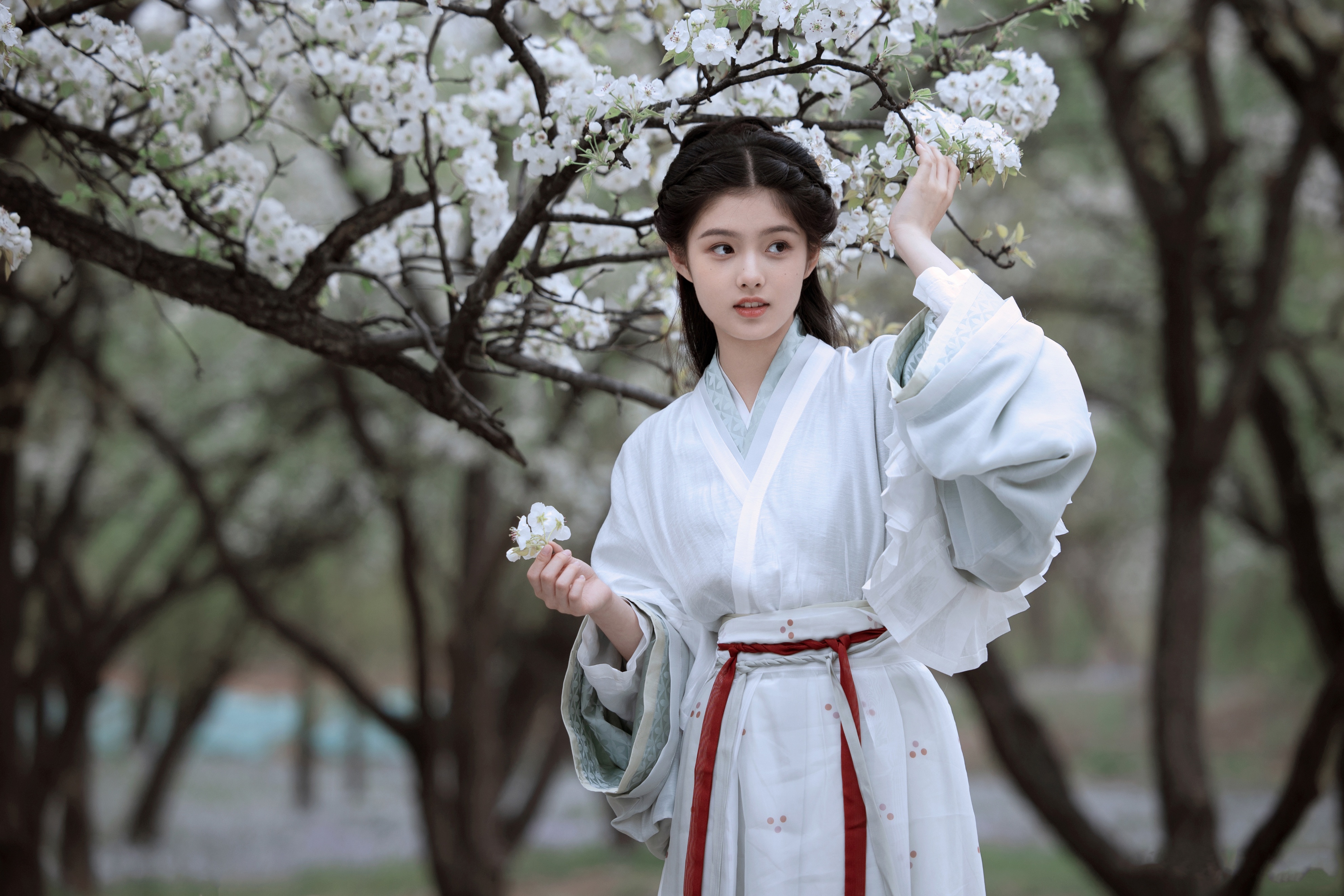 鍥介濡傜敾绯诲垪,鍥介姹夋湇鍐欑湡