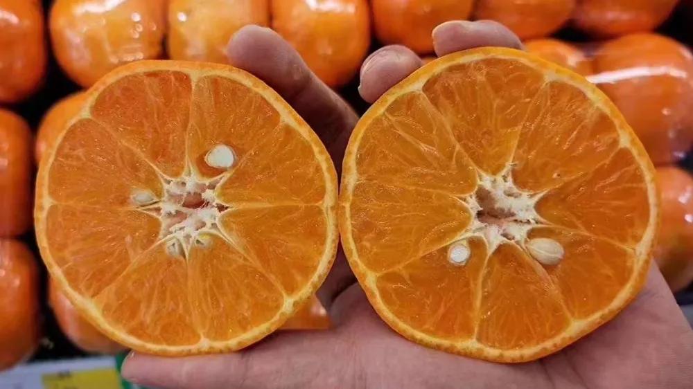 水果店不赚钱又好卖的东西怎么办,开水果店亏钱主要原因是卖不完吗