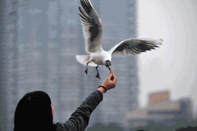 春节最值得一去的4个小众旅行地,春节川内游攻略