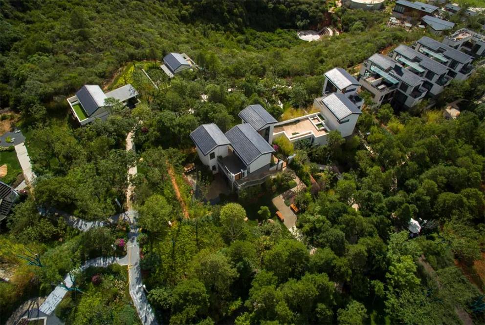 昆明春节适合去哪里旅游,春节昆明值得去么