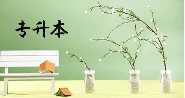 打通“学历+技能”教育模式，安徽启华教育开启成人教育新模式