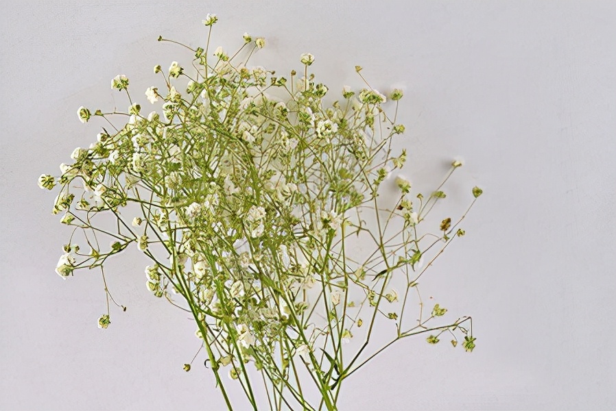 小伙为给女友挑口红做了十几页ppt,小伙给女友选口红做10多页ppt