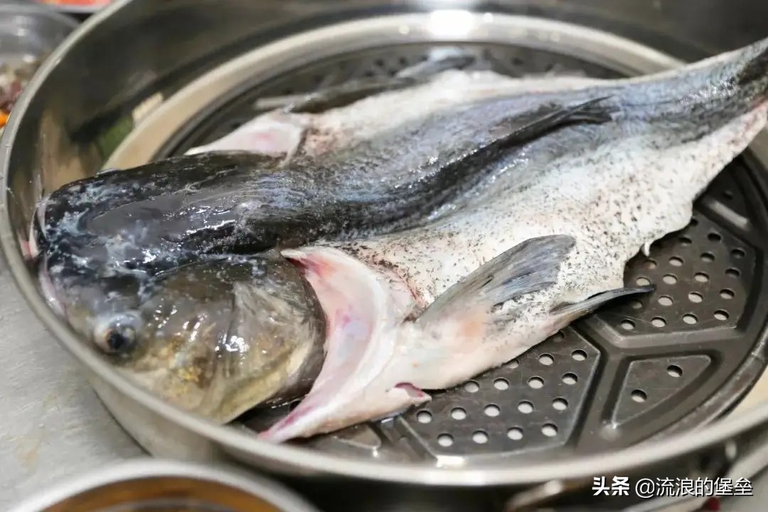 盘点中国最贵的鱼,中国最贵食用鱼是什么鱼