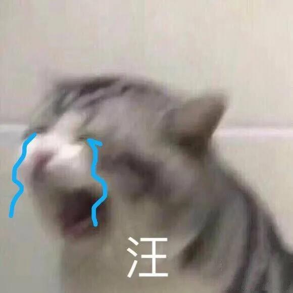 谁说翻车的，我第一个不同意