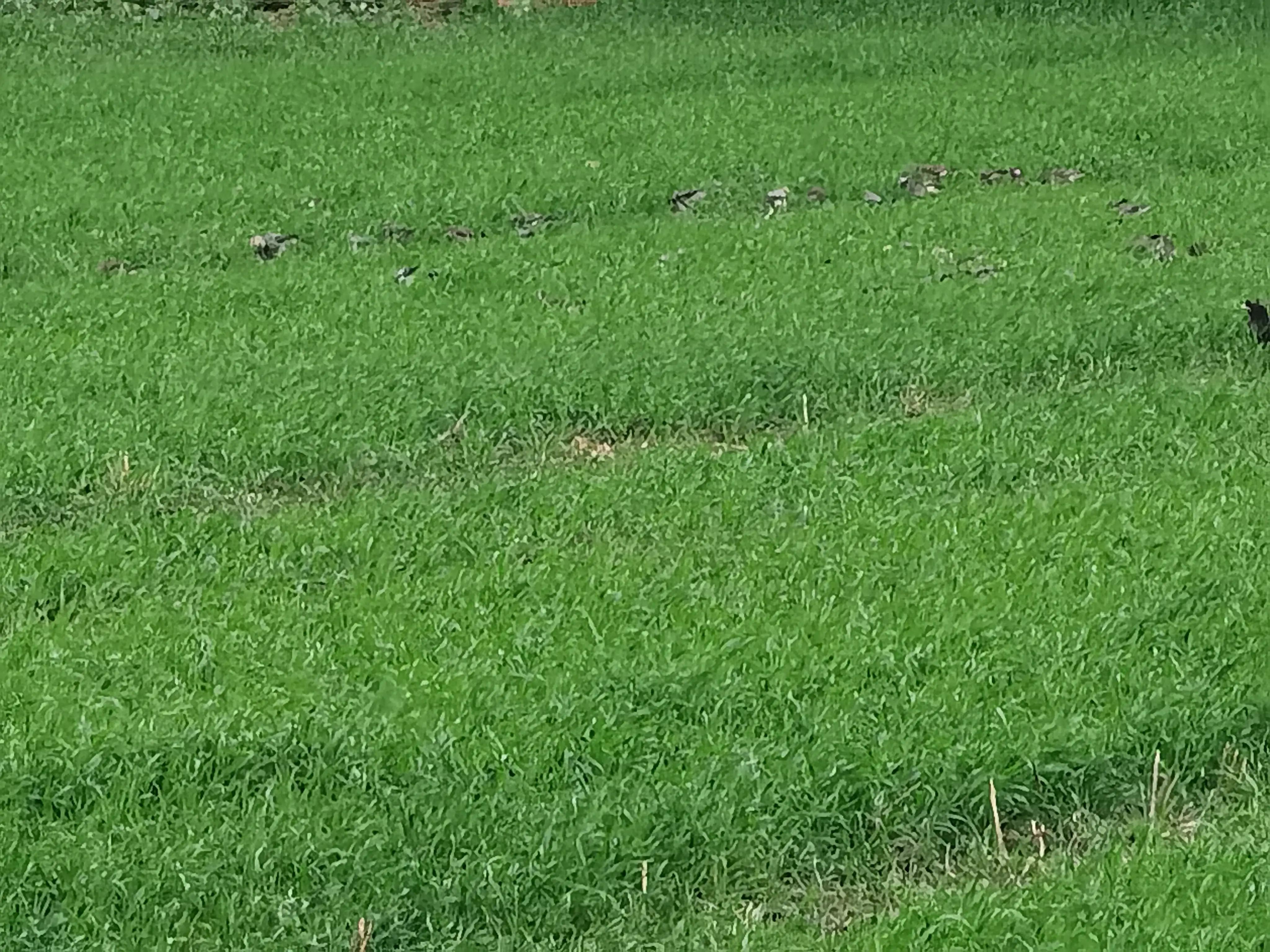 陈姊妹视频,陈姊妹最新视频