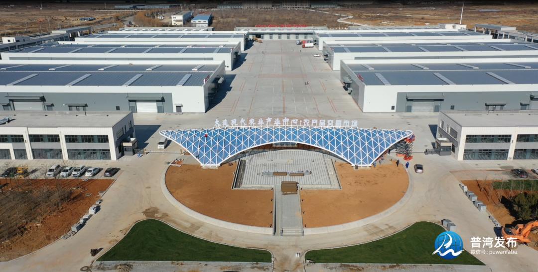 王守宇金普新区,王守宇金普新区党工委