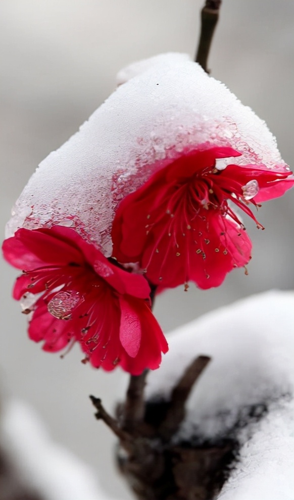 南京冷知识50条,中国南京的10种冷知识