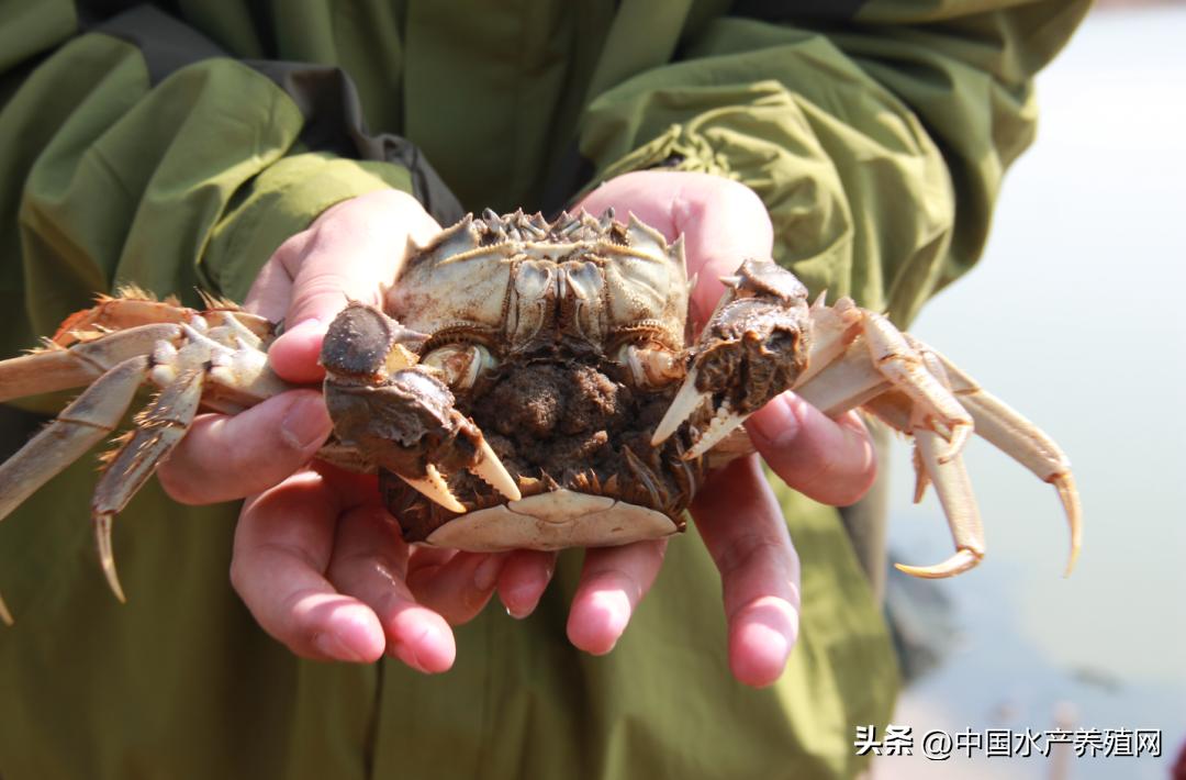 坚持做好产品质量的决心,坚持做良心产品