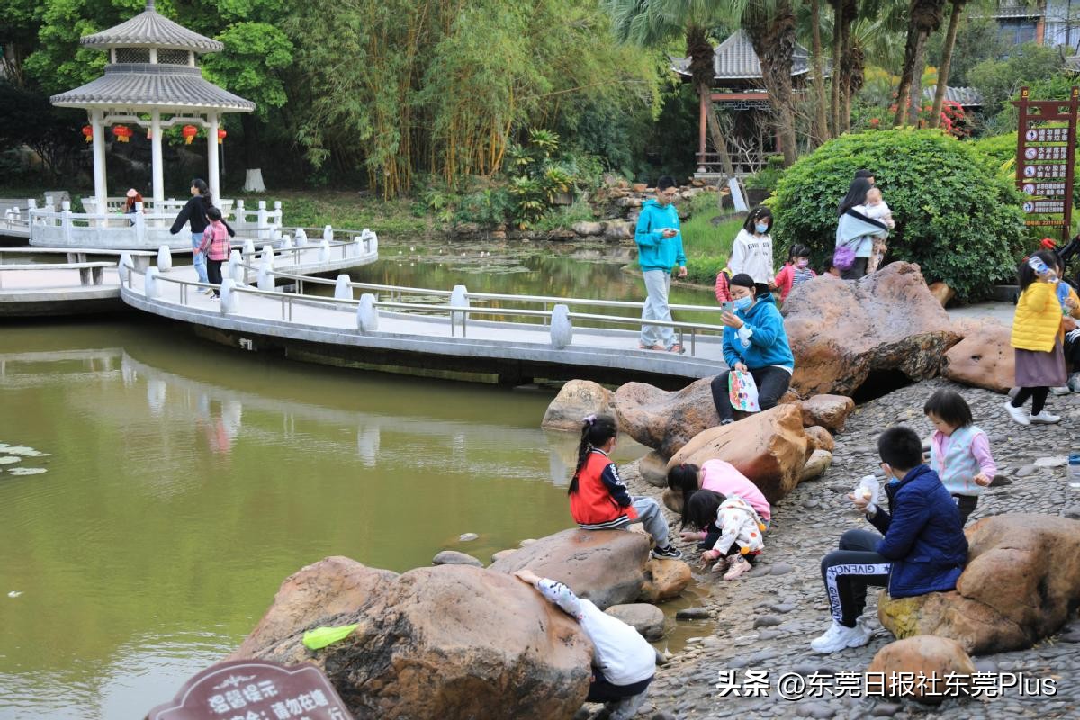 东莞人民公园真美,东莞人民公园故地重游