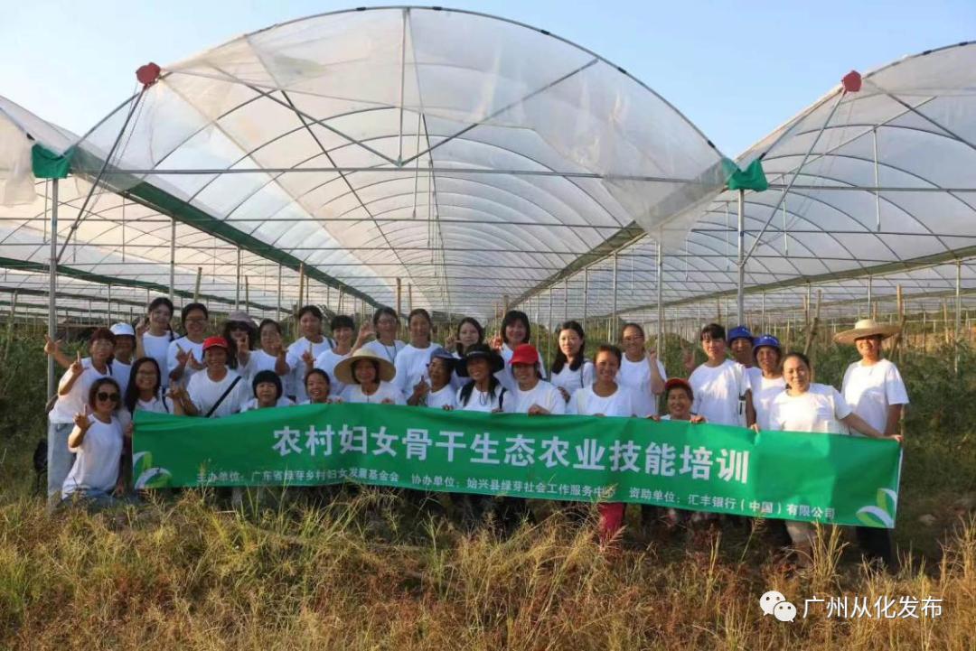 吕田“乡贤”黄坤红：乡村田园的致富带头人丨新乡贤系列报道