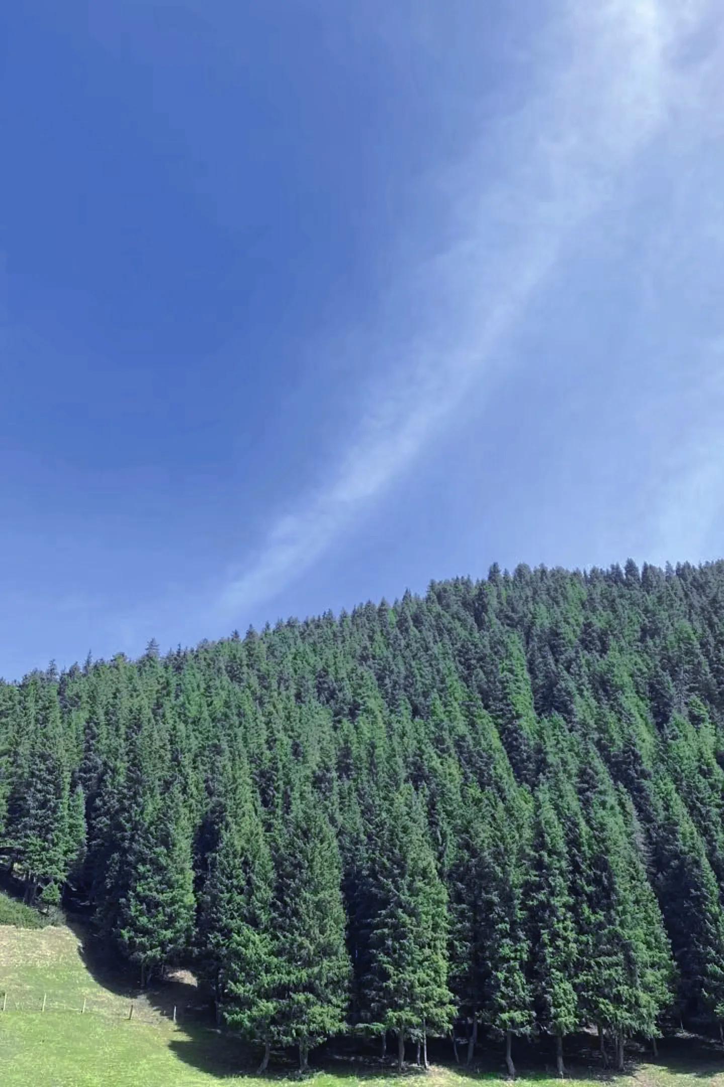 乌鲁木齐南山出游注意事项,去乌鲁木齐南山需要带什么东西