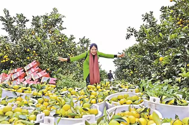 湛江哪个县级市有发展潜力,为什么湛江廉江是最发达的一个区