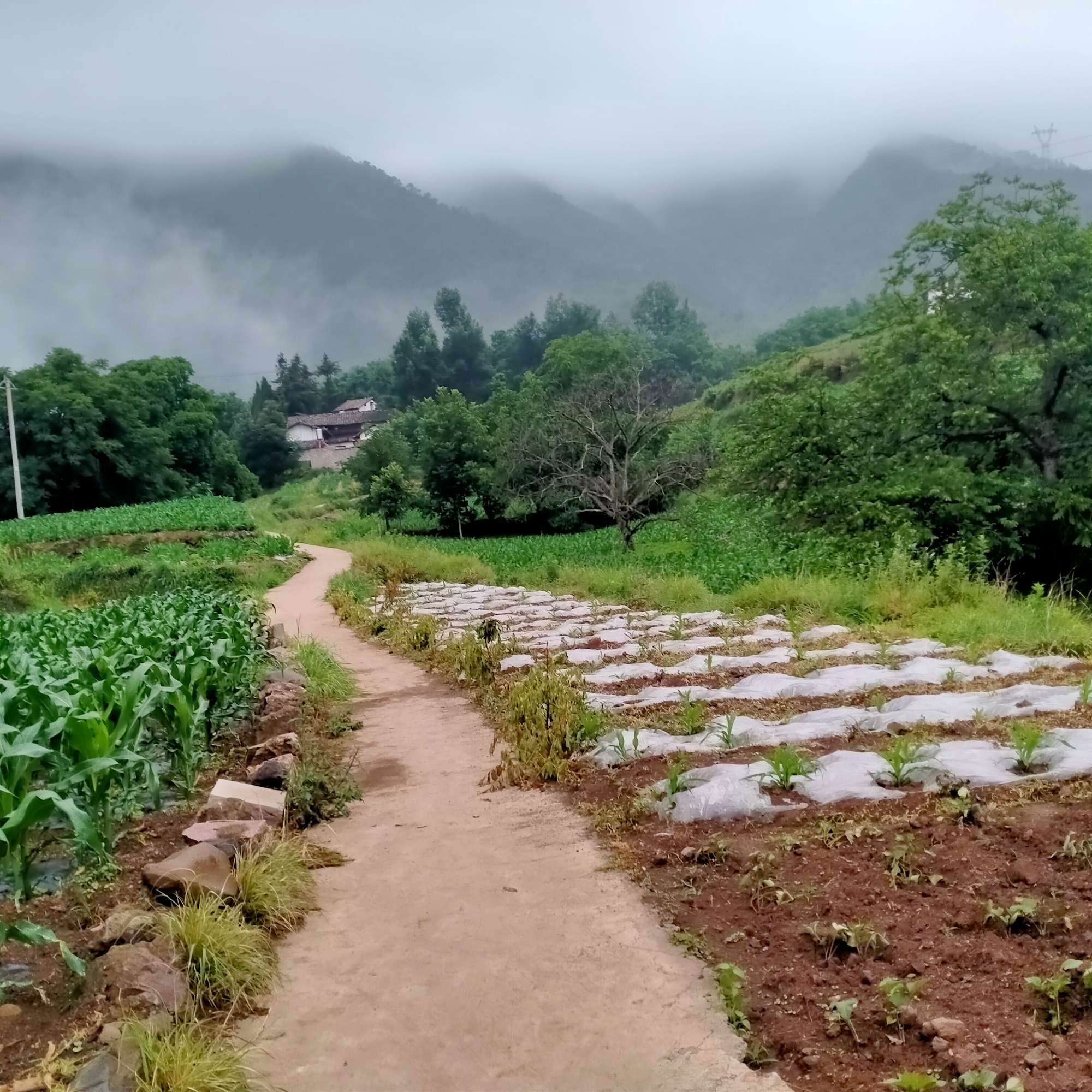 多想一觉醒来，我还是那个赖床的孩子